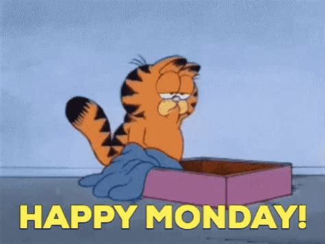 Mondays Garfield GIF Mondays Garfield Discover Share GIFs