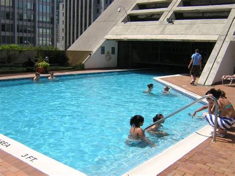 Hilton Hotel Pool Picture Of Hilton Toronto Toronto Tripadvisor