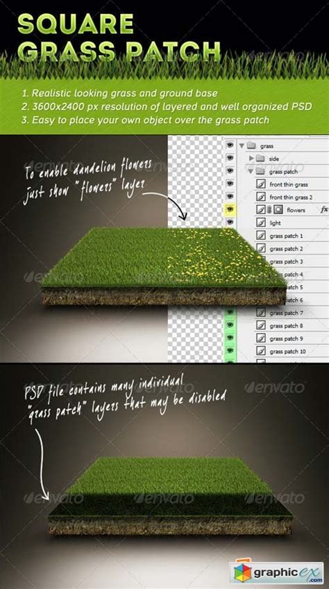 Square Grass Patch Free Download Vector Stock Image Photoshop Icon