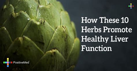 How These 10 Herbs Promote Healthy Liver Function