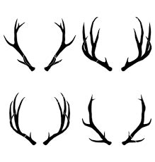 antlers - Google Search | Antler art drawing, Antler drawing, Antler ...