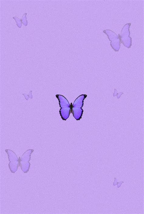 View 21 Cute Aesthetic Wallpapers Purple Butterfly Billulwasush