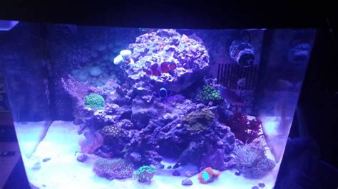 29g Coralife Biocube 2nd Led Update Youtube