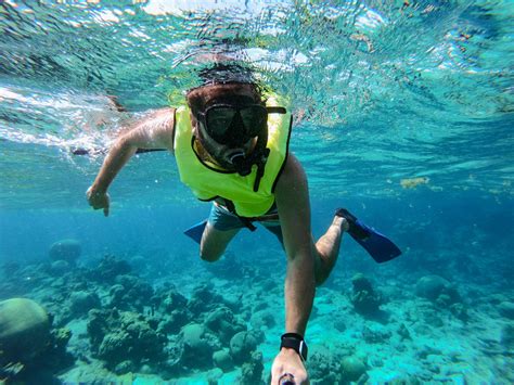 13 best places to go snorkeling in st croix celebrity cruises