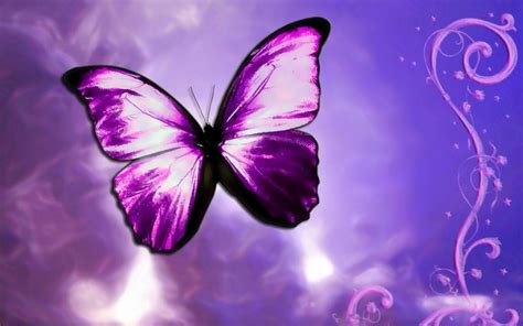 Best Purple Hd Wallpapers Latest Top Purple Wallpapers Collection