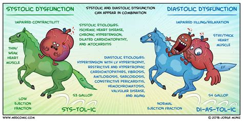 Systolic Vs Diastolic Dysfunction Heart Failure Nursing Diastolic