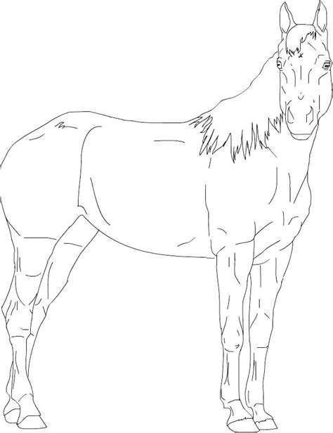 Select from 35870 printable crafts of cartoons, nature, animals, bible and many more. Quarter Horse Coloring Pages at GetColorings.com | Free ...