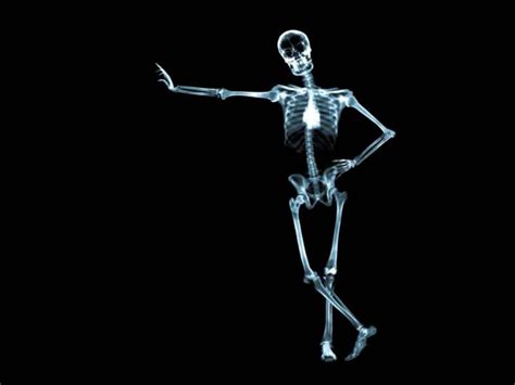 Lustiges Skelett Röntgen Skelett Tapete 1600x1200 Wallpapertip