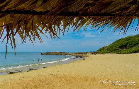 Charithmania Arisimale Beach Pumlude Trincomalee Sri Lanka