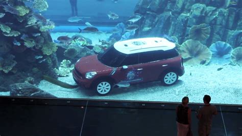 Mini Car Parked In Dubai Aquarium Youtube