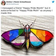 Celebrate Pride Month With These Hilarious Lgbtq Memes Pics