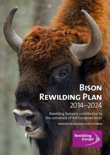 Publications Rewilding Europe