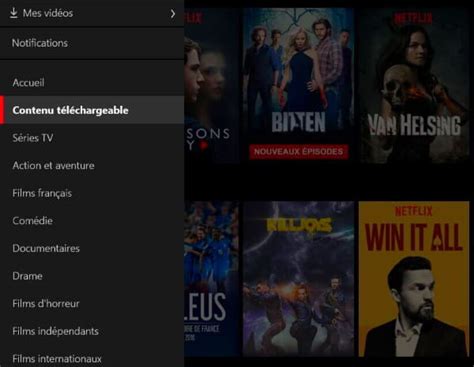 Télécharger des vidéos Netflix sous Windows 10  Comment Ça Marche