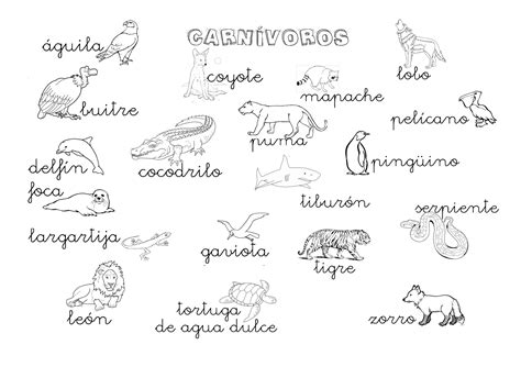 ¿Qué puedo hacer hoy?: Animales carnívoros: ejemplos