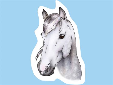 How To Draw A Horses Head Drawing Horses And Ponies Pony Magazine