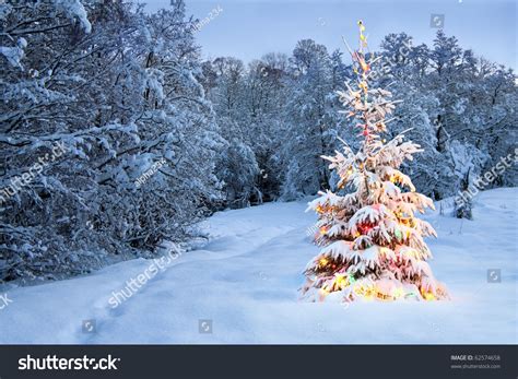 Christmas Tree In Snow With Colored Lights Stock Photo