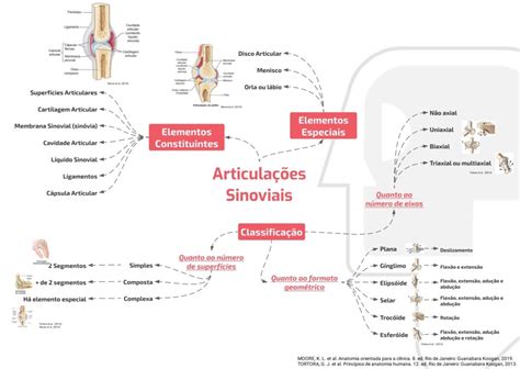 Mapa Mental Articulações Sinoviais AnatoCast