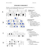 Pedigree worksheet interpreting a human pedigree. Studying Pedigrees Activity Worksheet Answer Key + My PDF ...