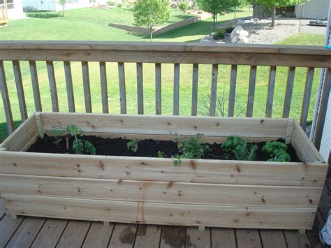This is how my next garden will be. | Deck vegetable garden, Vegetable garden boxes, Vegetable ...