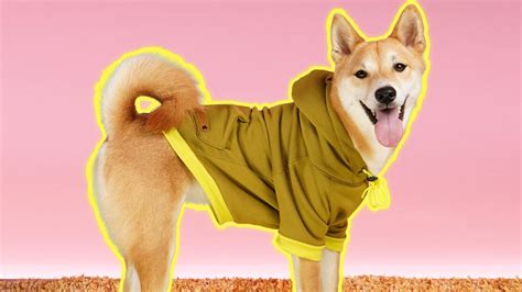 Diy Pet Hoodie Pattern Easy Sewing Project Youtube