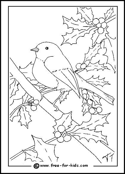 Realistic birds coloring pages for kids to print and color. Christmas Colouring Pages | Coloring pages winter ...