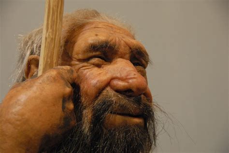 Neandertaler Warum Starb Der Neandertaler Aus Urzeit