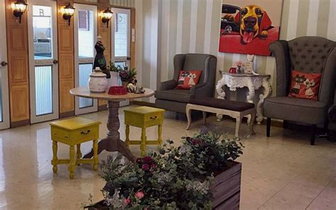 Not sticky from lack of cleaning kennel (looking at you pet suites). Dog and Cat Hotels Around Metro Manila