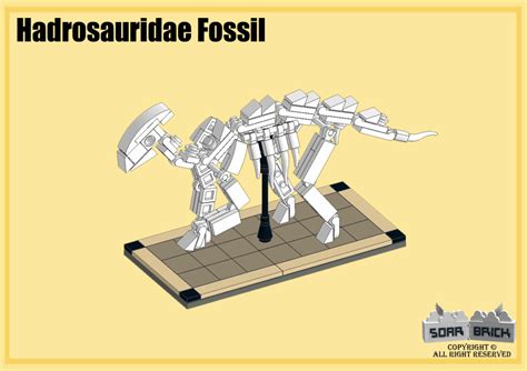 Dinosaur Fossil Part 1