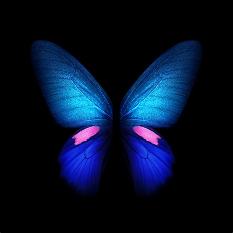 Download Samsung Galaxy Fold Wallpapers In Full Resolution