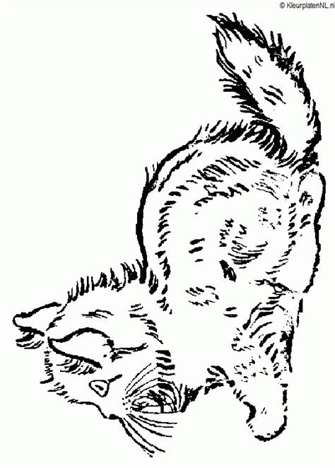 Poes kleurplaat kleurplaten 714 kleurplaat