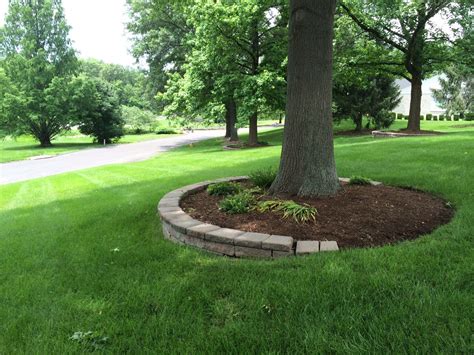 However, fig trees bloom later than most other fruit trees, and will benefit from a sheltered location. mulching around tree rings...for our front yard tree ...