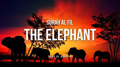The Elephant Surah Al Fil Quran Recitation Beautiful القرآن الكريم