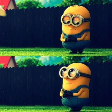 Sad Minion Uses Cuteness To Be Forgiven In Despicable Me