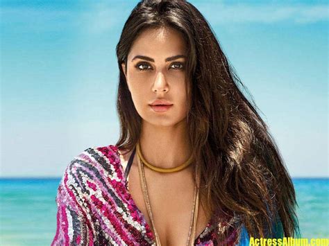 Katrina Kaif Photos Actress Album