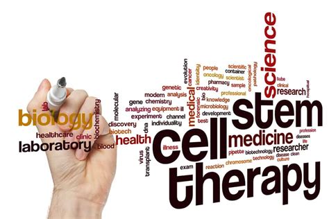 Are All Stem Cell Therapies The Same San Diego Orthobiologics