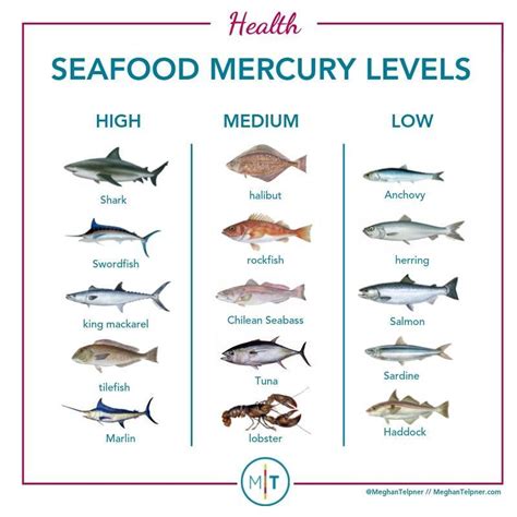 Guide To Eating Fish Choosing Healthy And Sustainable Options Fish