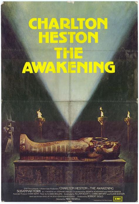His awakening, filled with awe and enthusiasm, proves a rebirth for sayer too, as the exuberant patient reveals life's simple but unutterably sweet pleasures to the introverted doctor. The Awakening Movie Posters From Movie Poster Shop