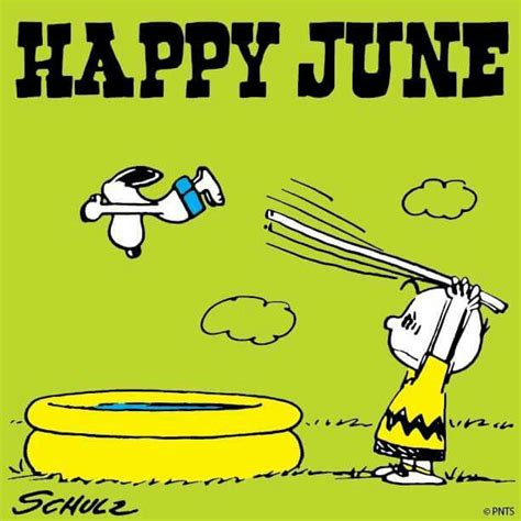 Pin By Karla Roof On I Love Snoopy Happy June Snoopy Snoopy Love