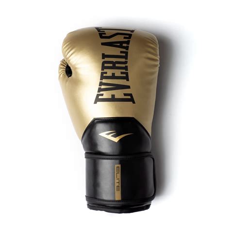 Everlast Pro Styling Elite Training Gloves Boxing Gloves