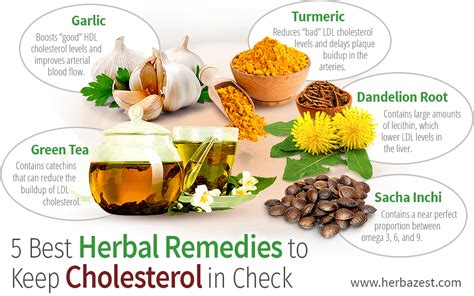 5 Best Herbal Remedies To Keep Cholesterol In Check Herbazest