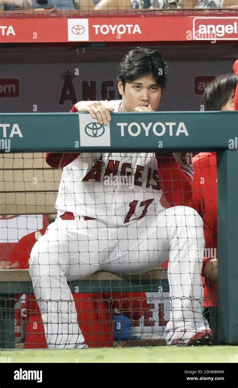 Shohei Ohtani Of The Los Angeles Angels Sits In The Dugout During The