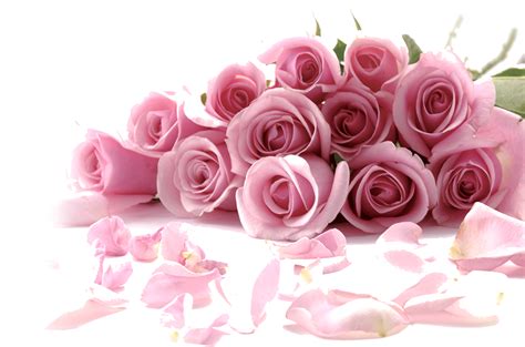 Rose Flower Wallpaper Romantic Bouquet Of Pink Roses Png Download