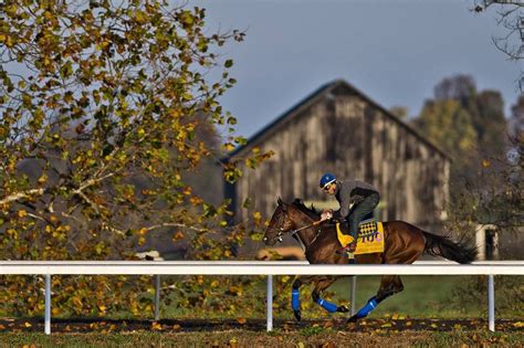 Kentuckys Horse Country Opens Barn Doors To Fans Before Breeders Cup