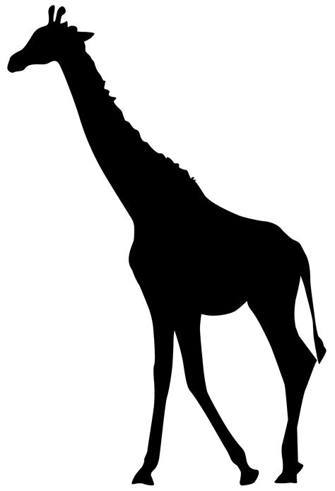 Giraffe Clipart Transparent 20 Free Cliparts Download Images On