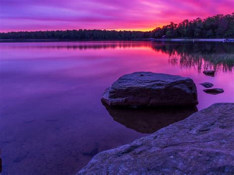 Beautiful Purple Scenery View With Reflection Of Trees On Water 4k