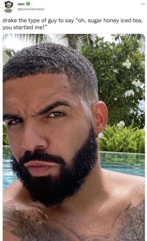 Drake Fans Flood Twitter With The Type Of Guy Memes Once Again Drake Meme Drake Photos