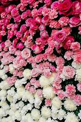 Flower Wall Pictures