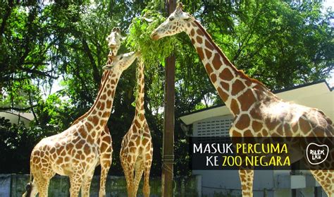 • gratis masker, ini harga tiket masuk the great asia africa lembang. Masuk Percuma Ke Zoo Negara Jika Lahir Pada Bulan Disember ...