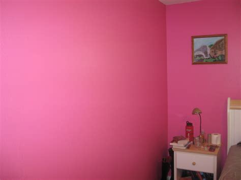 Wall Paint Colors Pink Hawk Haven