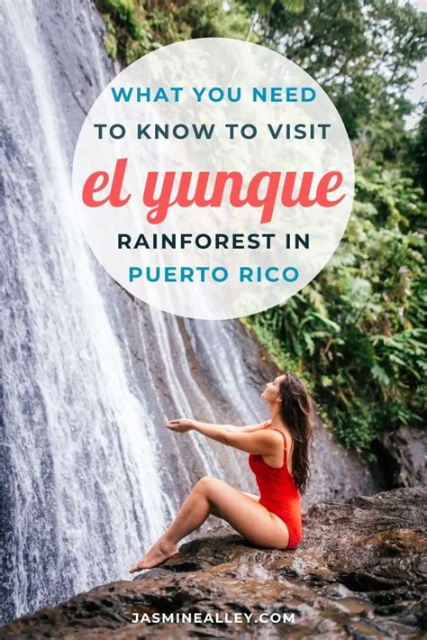 Wondering What To Expect When Visiting El Yunque National Forest In